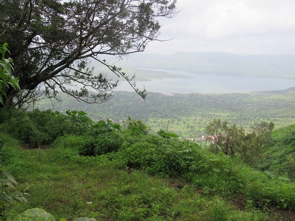 Nature - Best Teacher