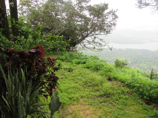 Nature - Best Teacher