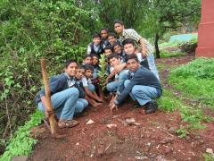 Environment Day 2016