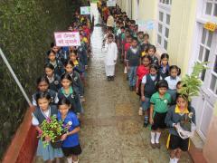 Special Plantation Drive