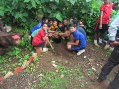 Save Trees - Plant Trees