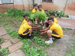 Save Trees - Plant Trees width=