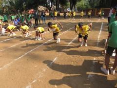Team Races